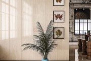 Gạch Ốp Lát APODIO 61222014